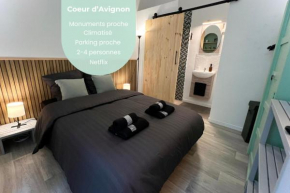Appartement centre Avignon 2 à 4 personnes